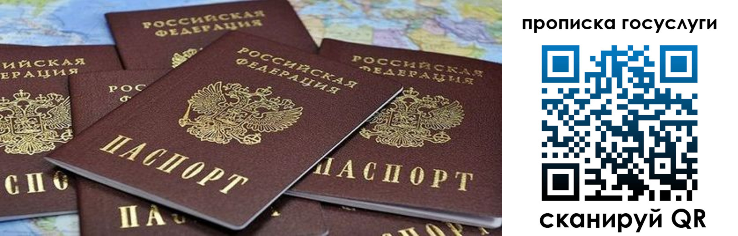 пропишу в квартире в Щёкино